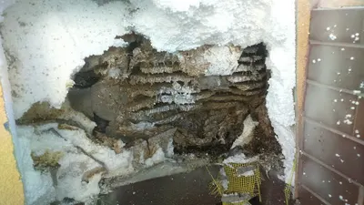 Usługi DDD Knop Krzysztof